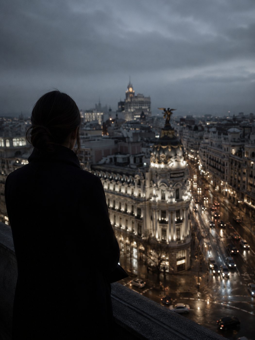 Chófer privado 24/7 — Madrid, Madrid